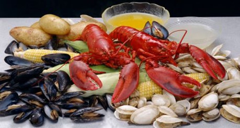 Shellfish nutrition facts for swimmers