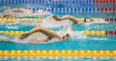 1500m Freestyle long course opportunity