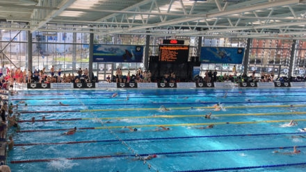 Olympians to race for clubs as National Arena Swimming League finals return