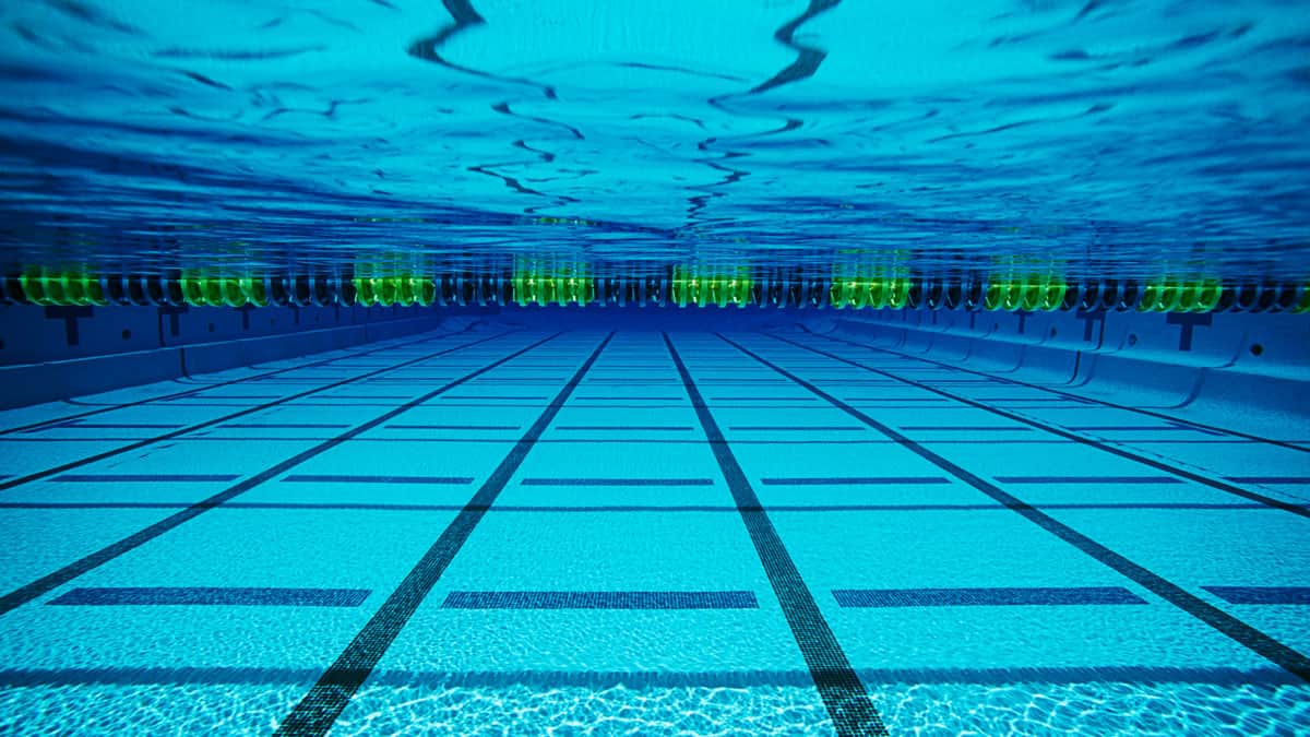 Swim England appoints NSPCC to lead historical case review Swim England appoints NSPCC to lead historical case review