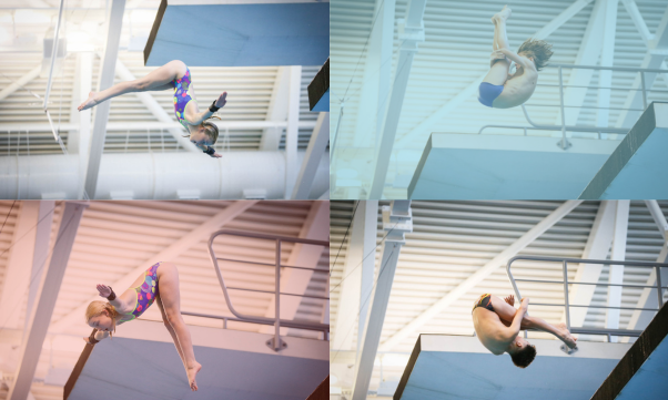 Learn To Dive